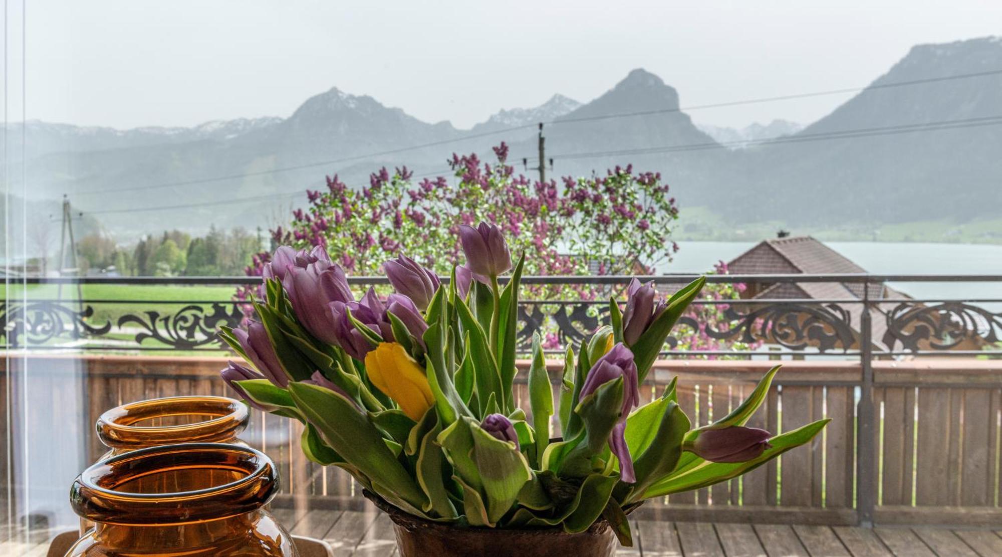 The View Apartment Sankt Wolfgang im Salzkammergut Exterior photo